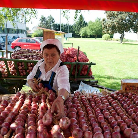 Dornava - Onion Festival in Dornava